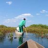 Boat Trip into the Okavango Delta